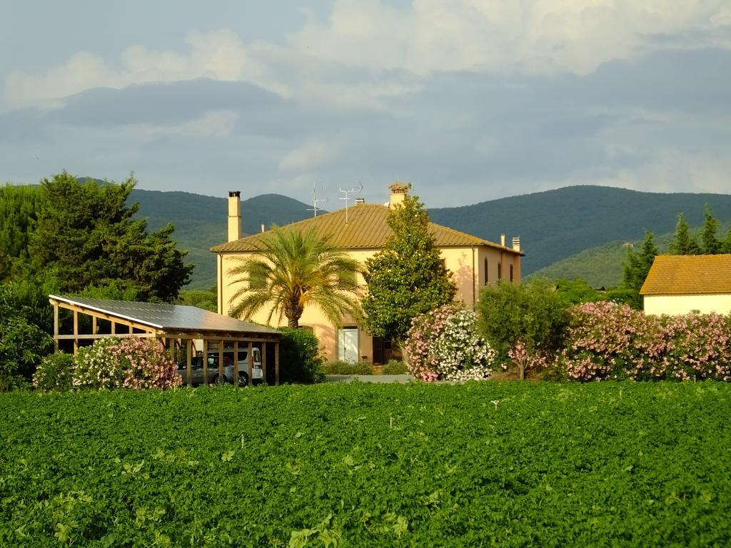 Agriturismo Sant'Uberto Bolgheri Eksteriør bilde
